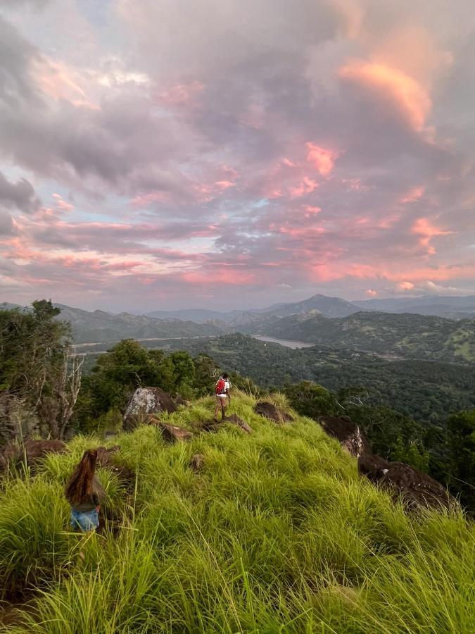 ディガーナ Rukgala Retreat Bed & Breakfast エクステリア 写真